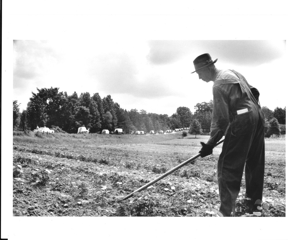 Leo Walker weeds his cotton as the Mule Train passes by, Roland Freeman