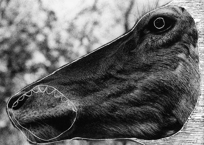 Massacres©MagaliLambert2014-12