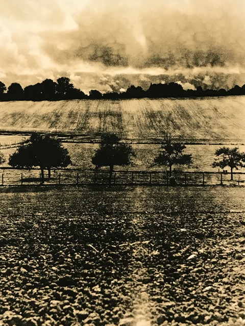 Zuili After the Storm