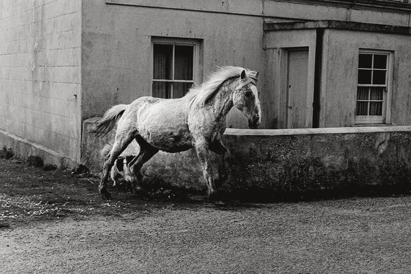 35.112-36-Irlande_-Rounstone_grande