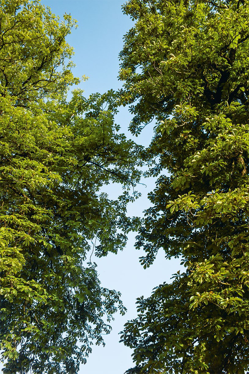 la robe et la main-57