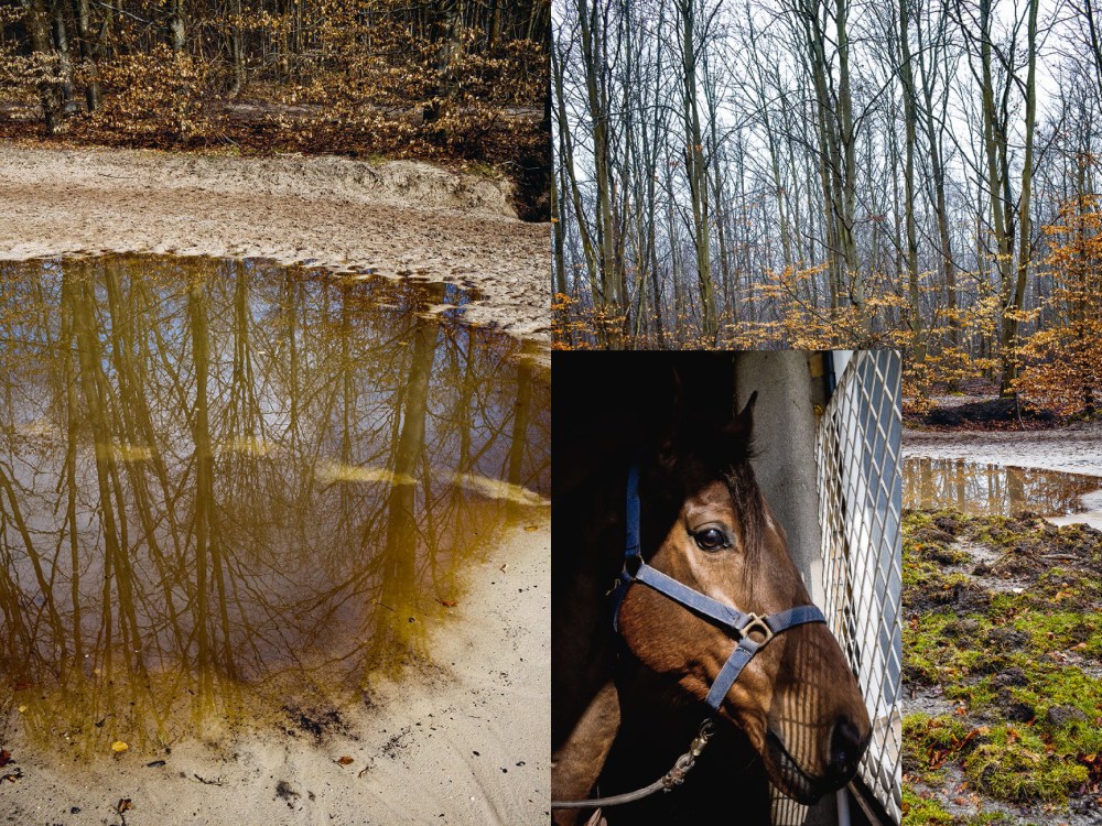 la robe et la main-9