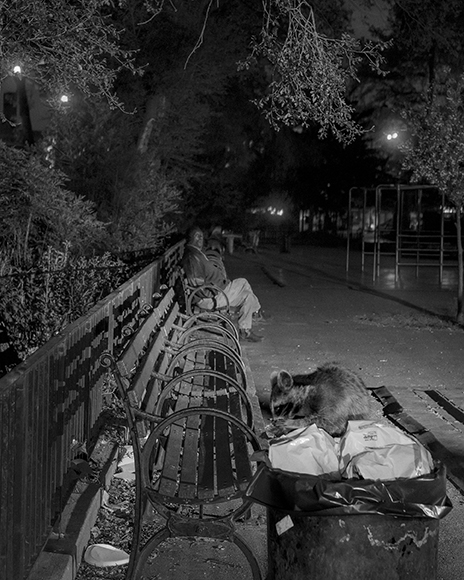 170521_NYC_Inwood_0032_B