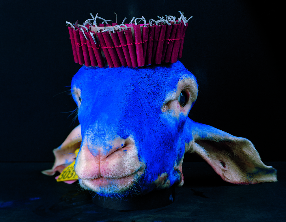 © Philippe Pétremant - John C, 2013, « Les Contrées nulles » , 60 x 80 cm Courtesy Galerie Le Réverbère