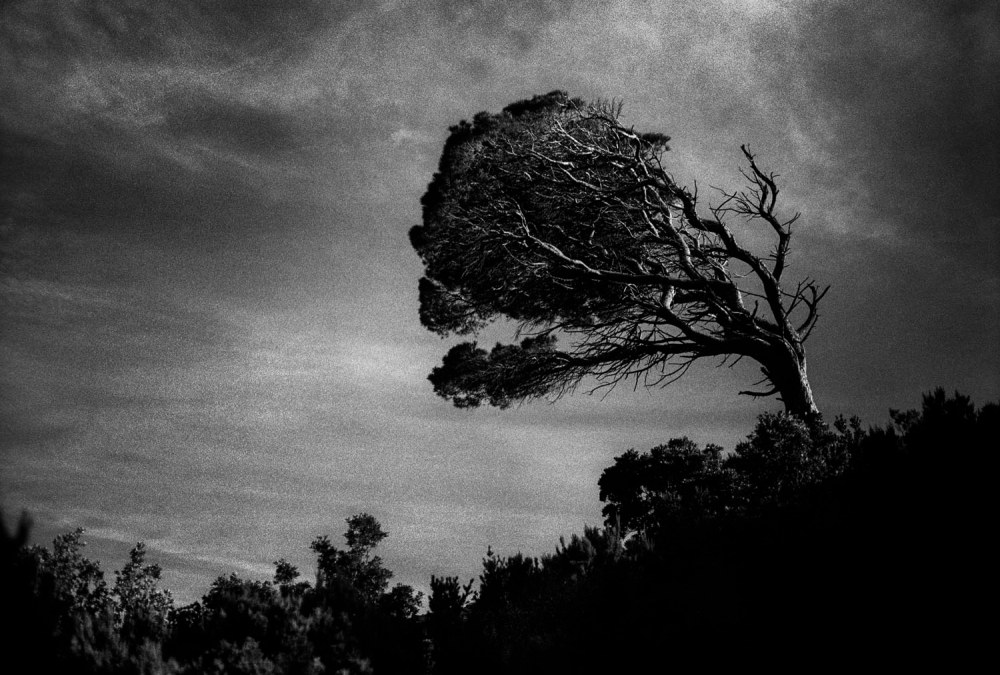 Yusuf Sevincli, CapCorse, série Oculus, 2017, Courtesy Galerie Les filles du calvaire