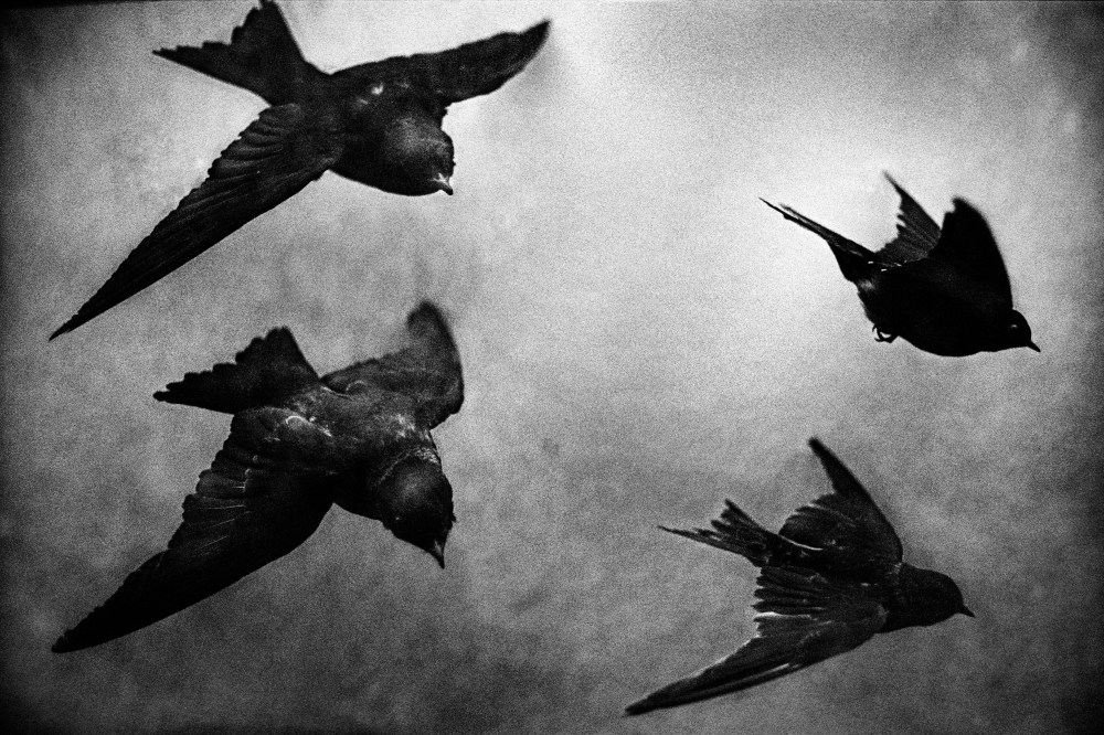 Yusuf Sevincli, série Vichy, 2015, Courtesy Galerie Les filles du calvaire