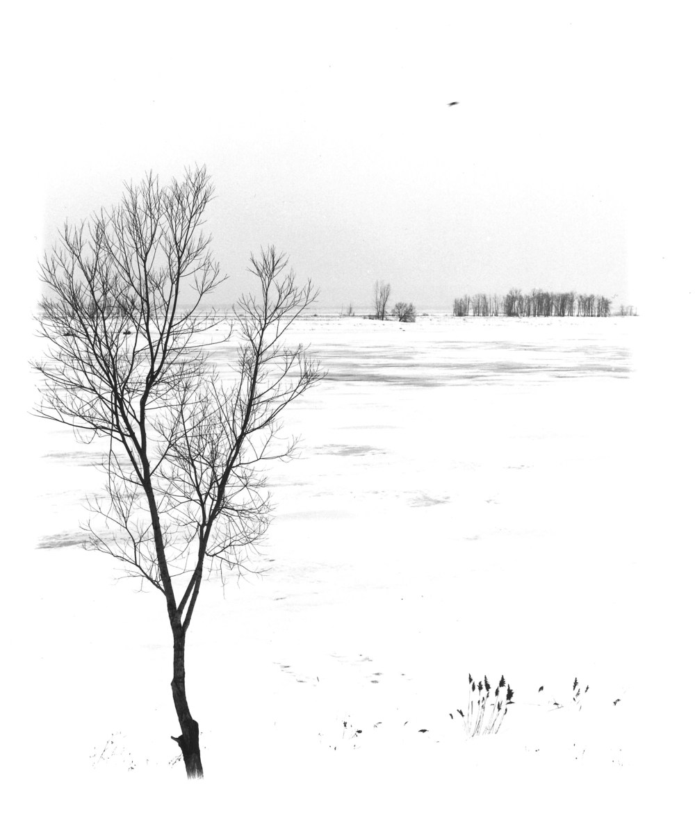 34_echos_du_silence_patrick_le_bescont