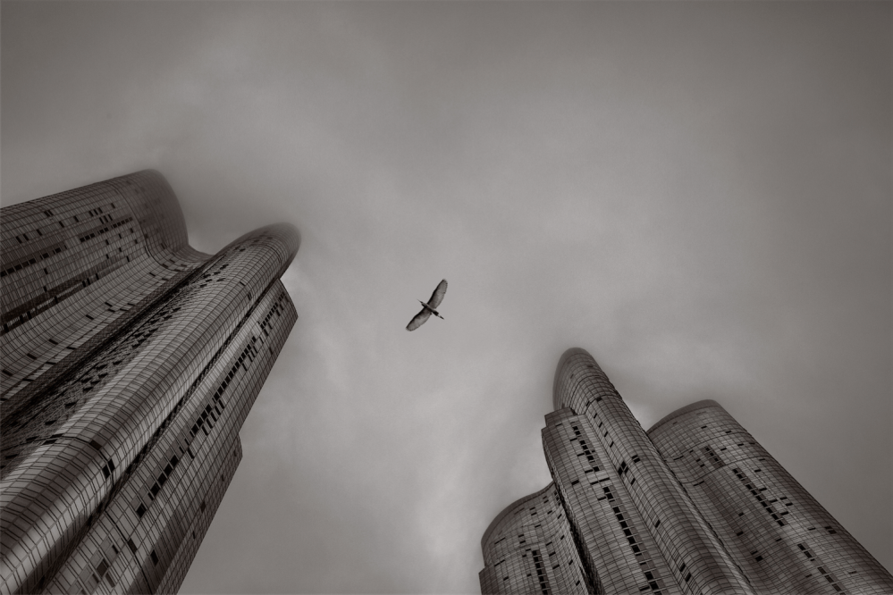 alain-willaime-quartier-haeundae