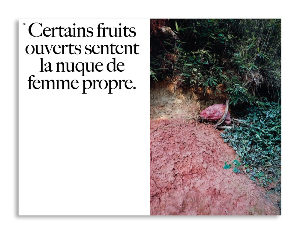 extraits-colombie-chauvin-fabien-intervalle-19-11