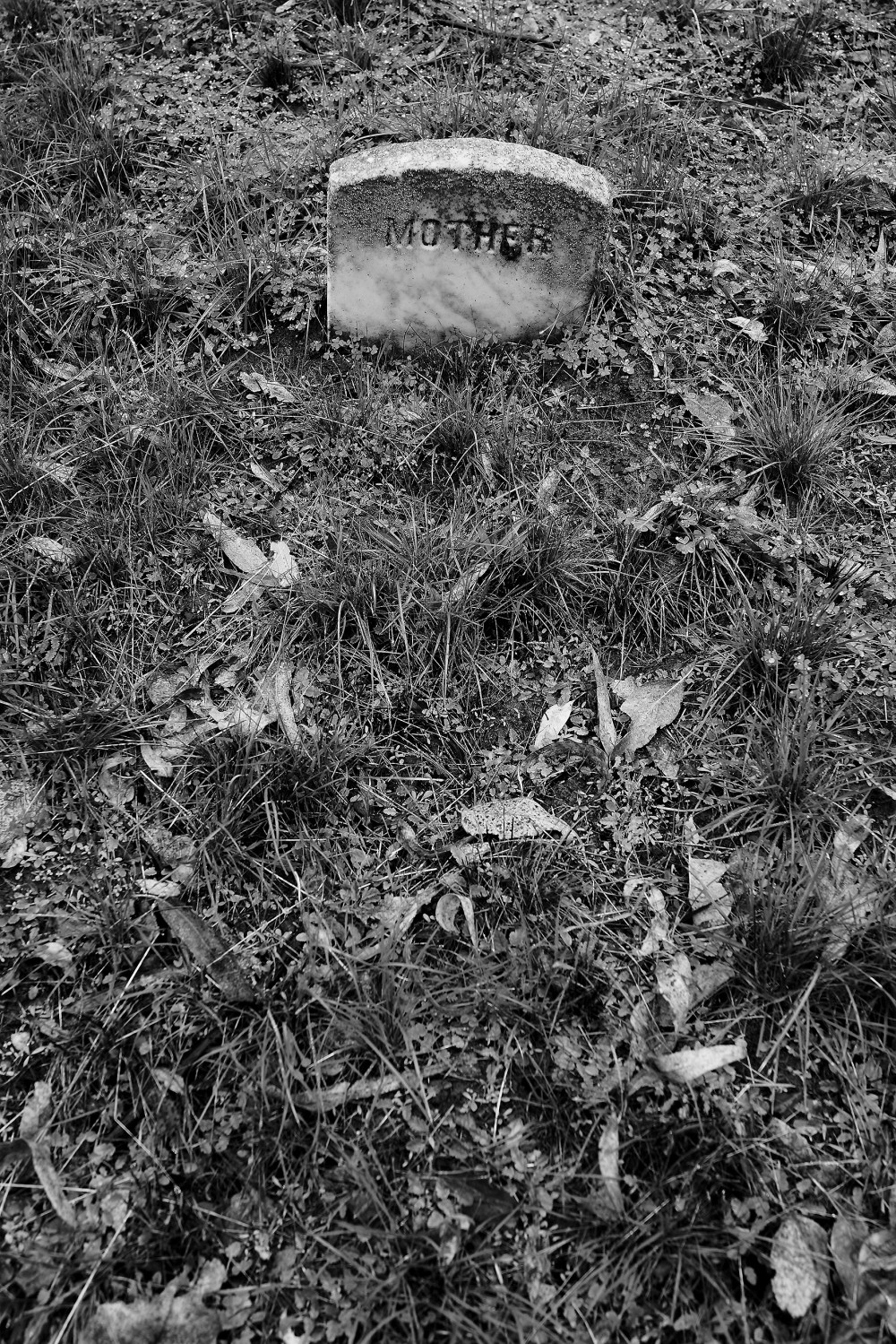 fe3f8c84b6fb5a34f8c84b6fb5984f8v