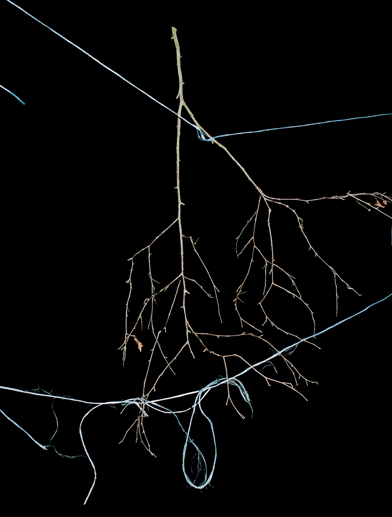 LOUIS MATTON OBJETS AUTONOMES