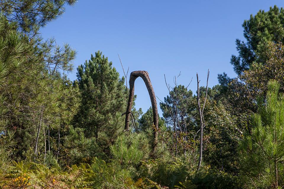 51356233_380515679436069_3487280489620832256_n