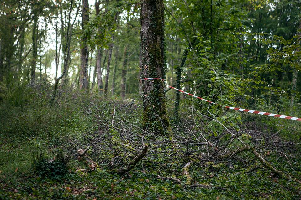 51371449_612481539174715_5392514727857356800_n