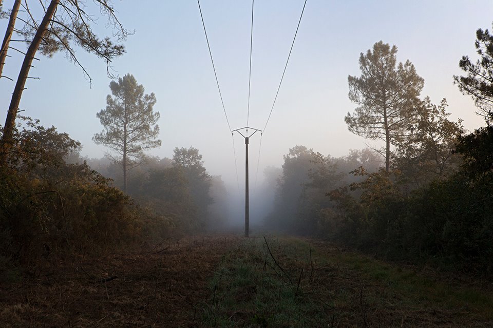 51616484_334088537202743_8832629621800304640_n