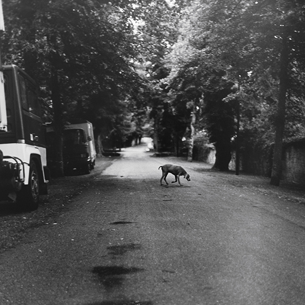 a.immele, extraitde WIR-inedit-sans-titre2