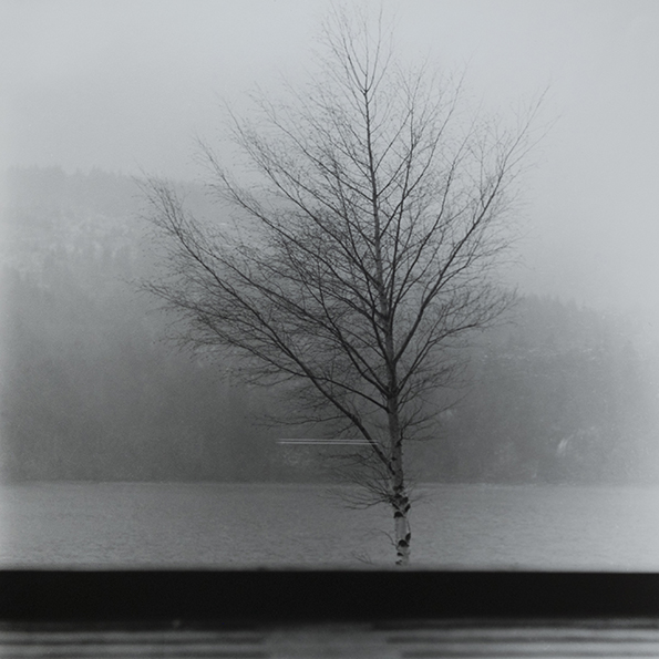 a.immele-lac-noir-2002 -serie-le-miroir