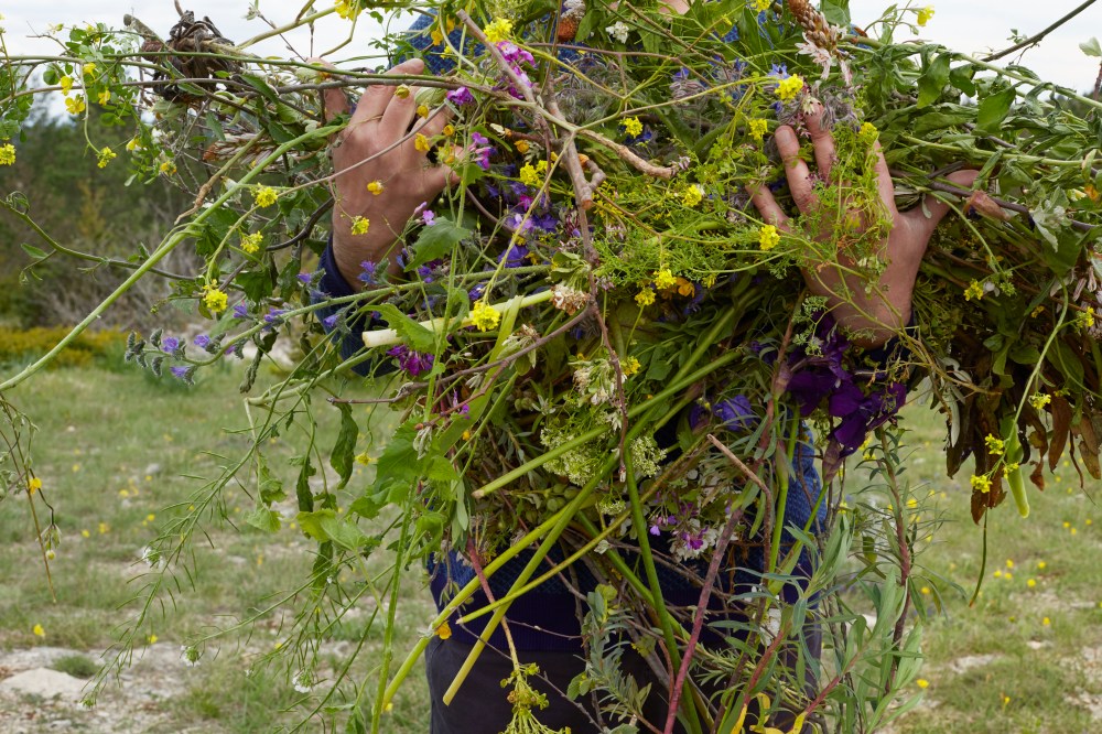 la brassée, 65 x 97,5 cm, impression pigmentaire,sur papier baryté,2017