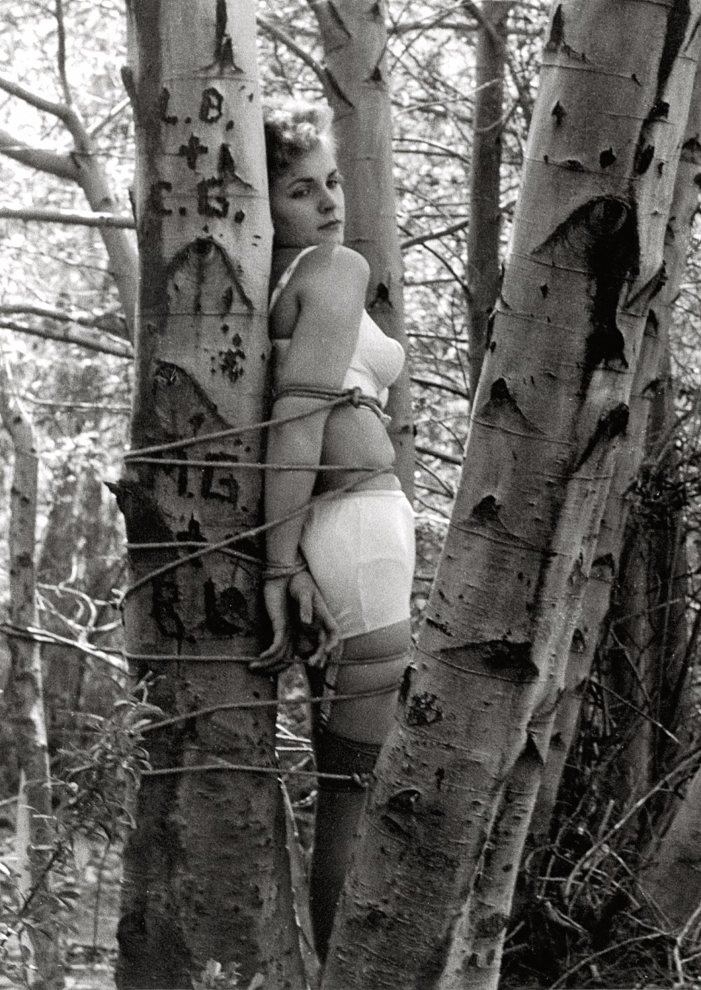 LAWBÔÇóJADÔÇô041ÔÇóRT