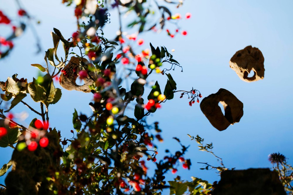 recomposition1,2016,impression pigmentaire sur papier R.C, 100x 150 cm