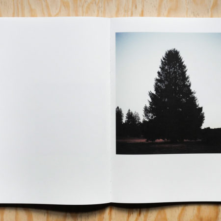 Dans-mon-jardin-les-fleurs-dansent-by-Olivier-Cornil-tipibookshop-450x450