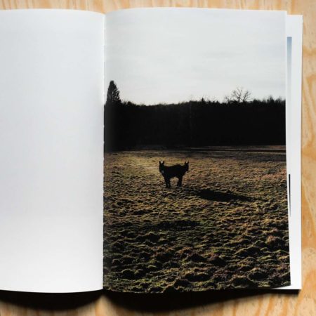 Dans-mon-jardin-les-fleurs-dansent-by-Olivier-Cornil-tipibookshop-9-450x450