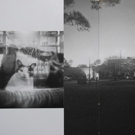 Getting-the-extra-beating-heart-out-of-my-chest-by-Adina-Ionescu-Muscel-tipi-bookshop-10-450x450