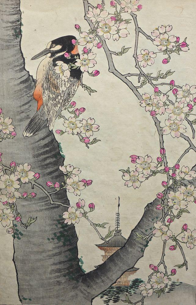 produit_10311_img_01