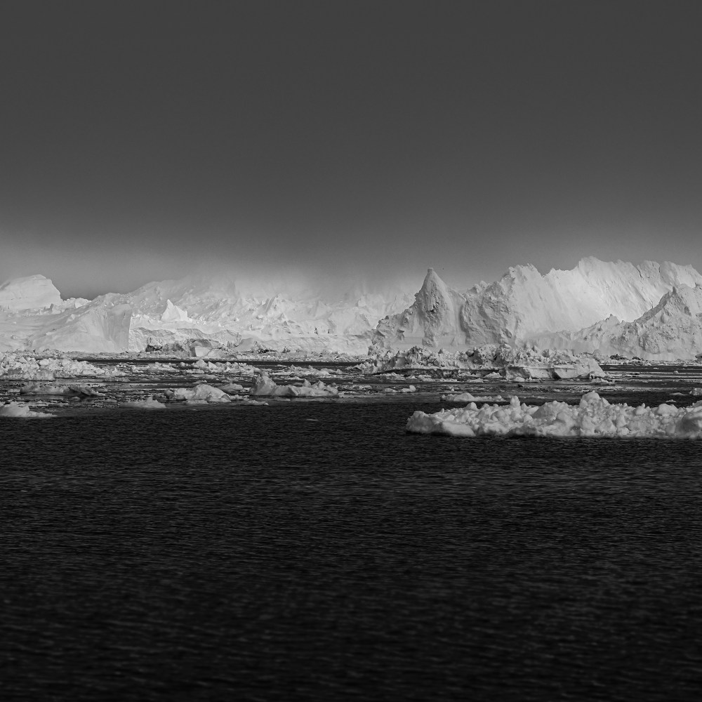 n_b bordeaux picto_2 copie