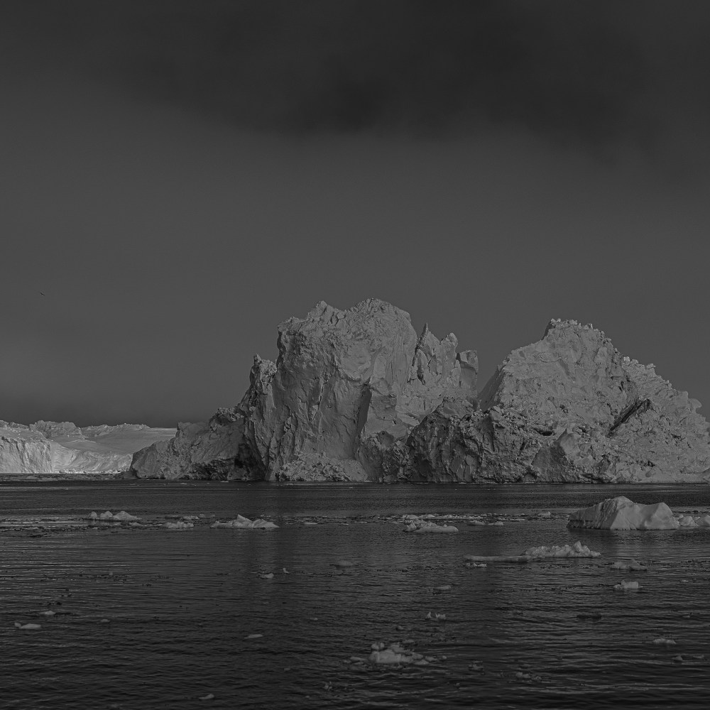 n_b bordeaux picto_7 copie