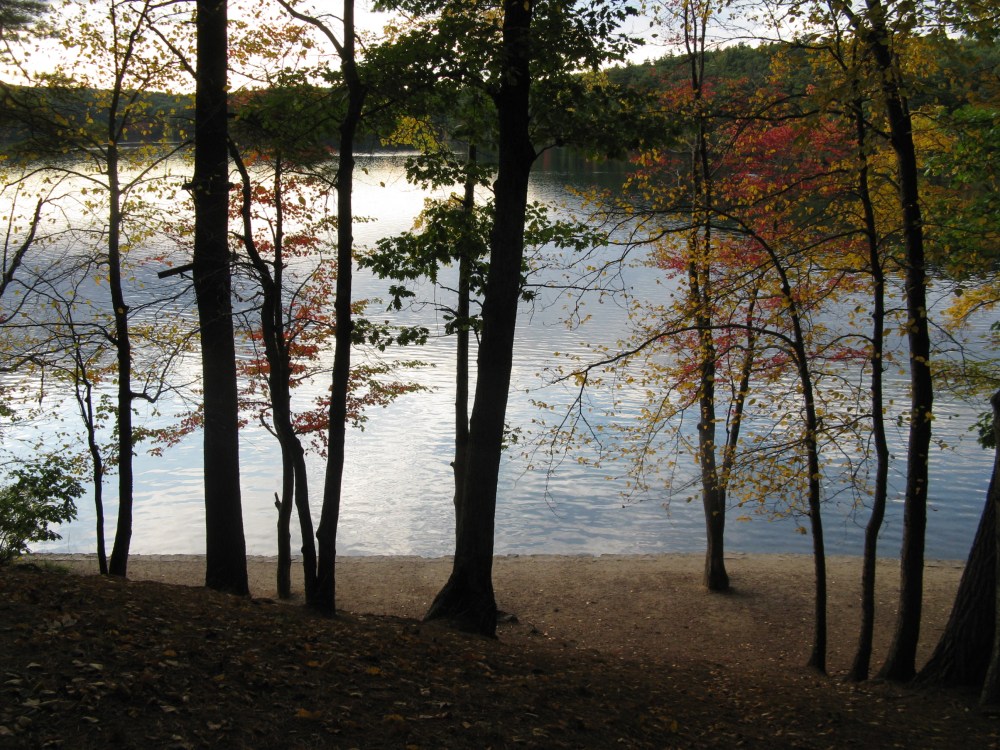 Walden_Pond_in_October,_Concord_MA
