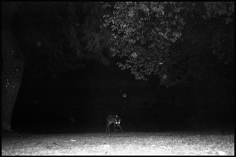 a48185_5db8944f407844ed9d49bffd1d8965ff~mv2