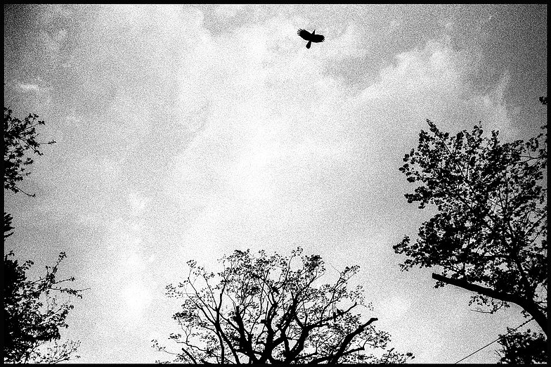 a48185_7be397fe980d46dfa55139d9952cd970~mv2