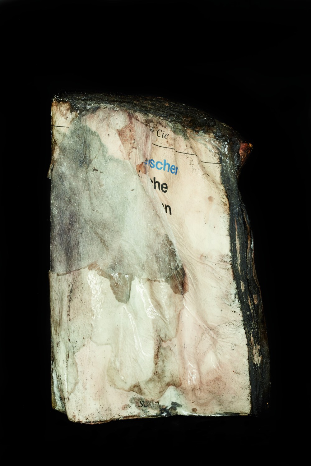 Helene BozziGB O741 Livre 9 - copie