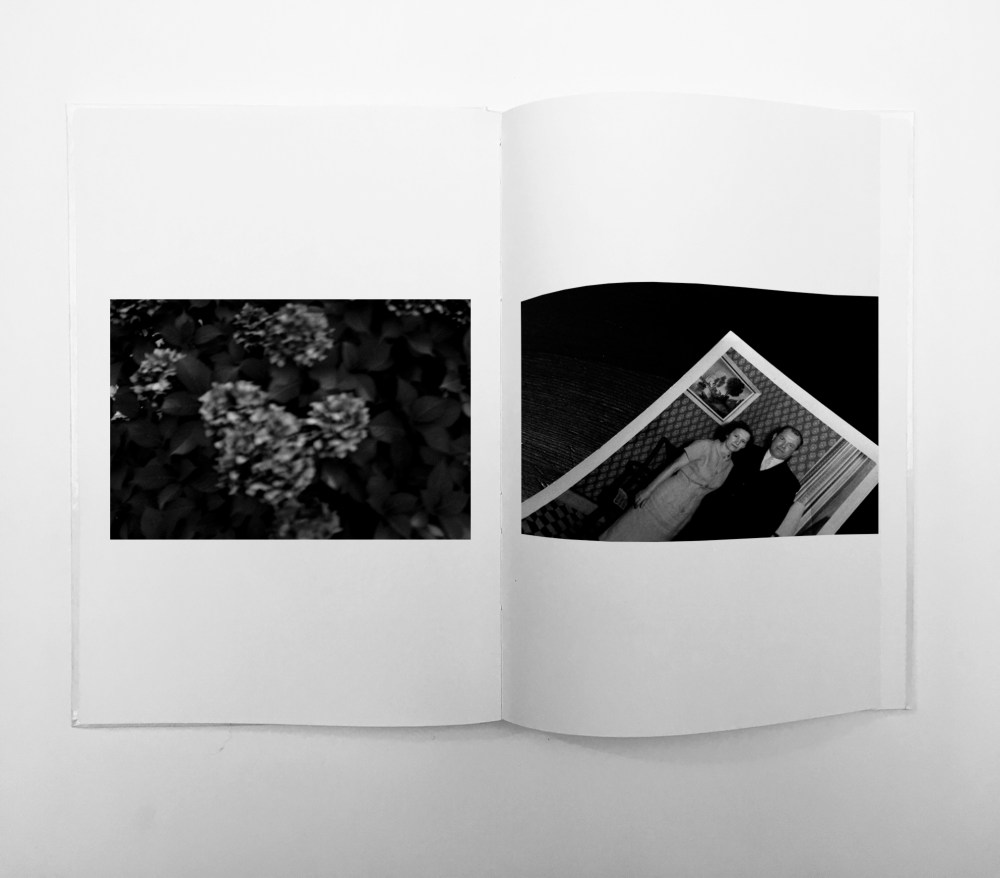 IMG_2277 - simulation 2 ARCANE