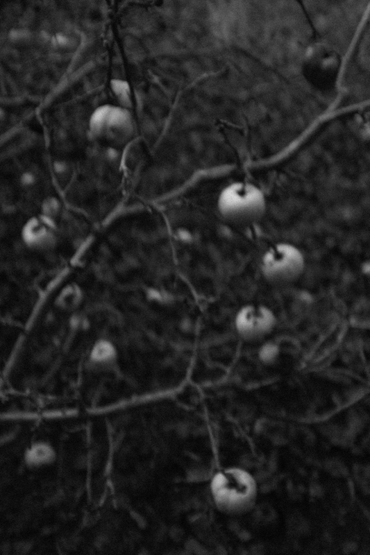 L'arcane sans nom-24