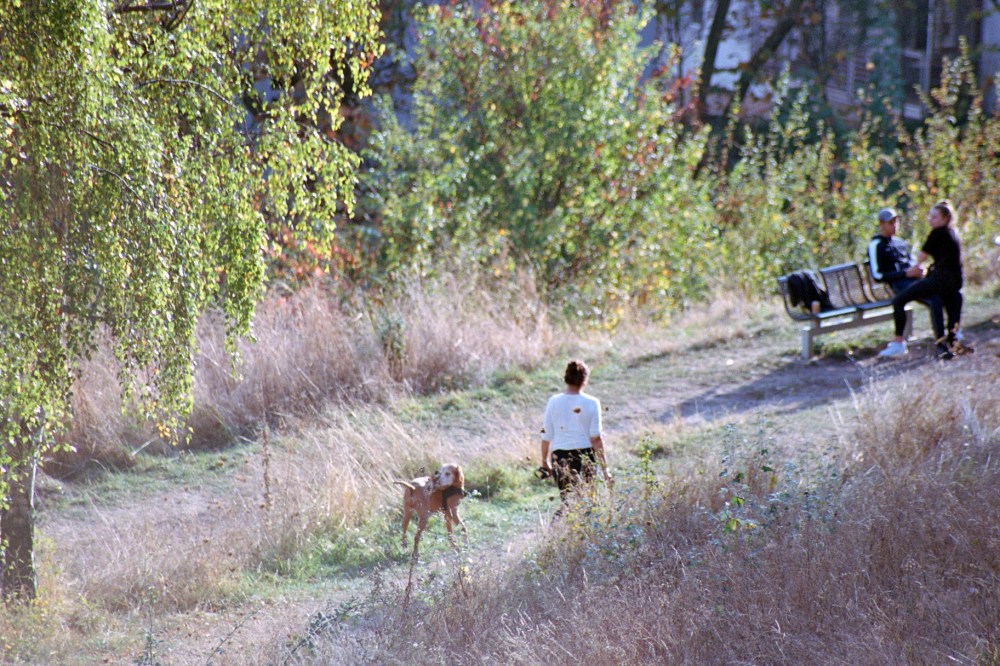 Photo03_3_ELISE TOIDE_IL FERA LONGTEMPS CLAIR CE SOIR