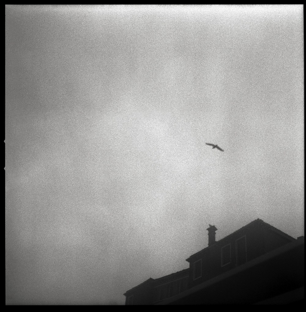 Venise-et-ses-iles-william-guidarini04