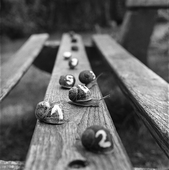 Le temps des grenadines