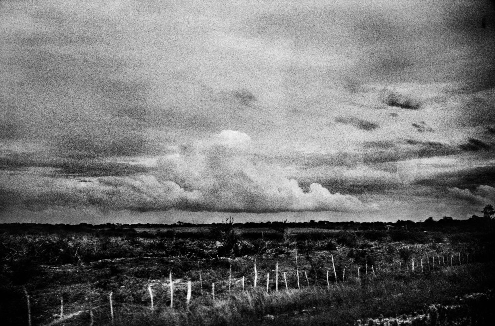 21277_HX_VinTri_1018_025_sm