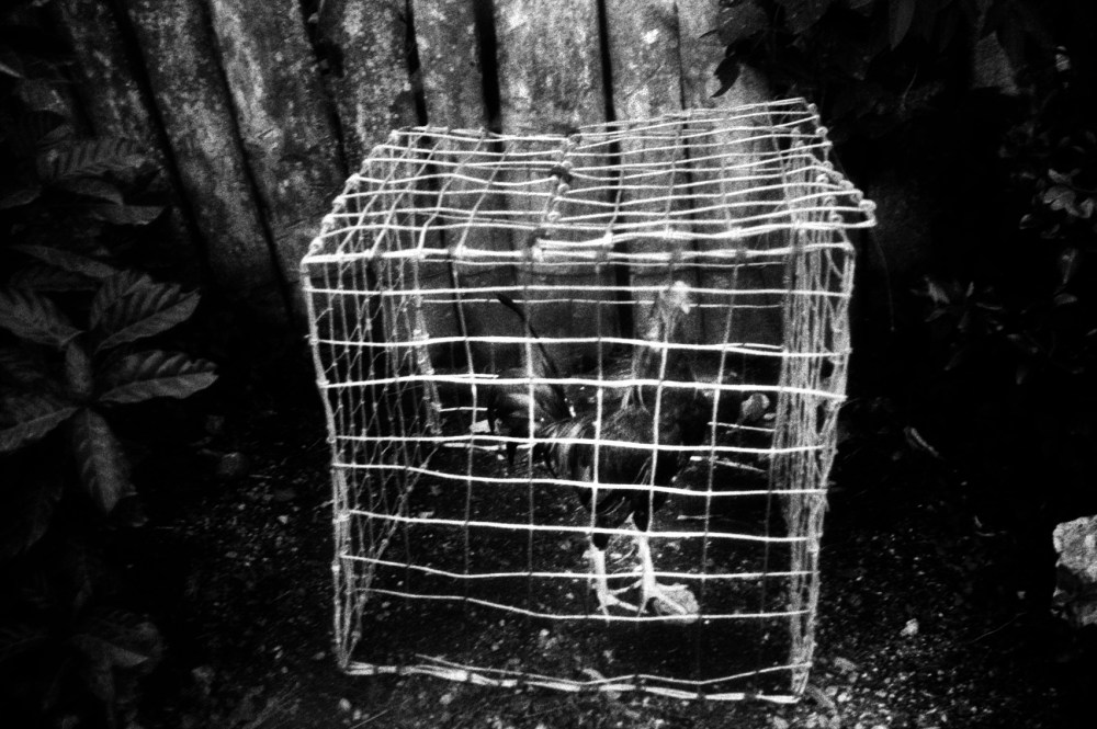 21322_HX_Bar_1018_009b_sm