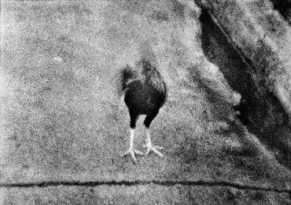 21332_SAZ_Bar_1018_048_sm