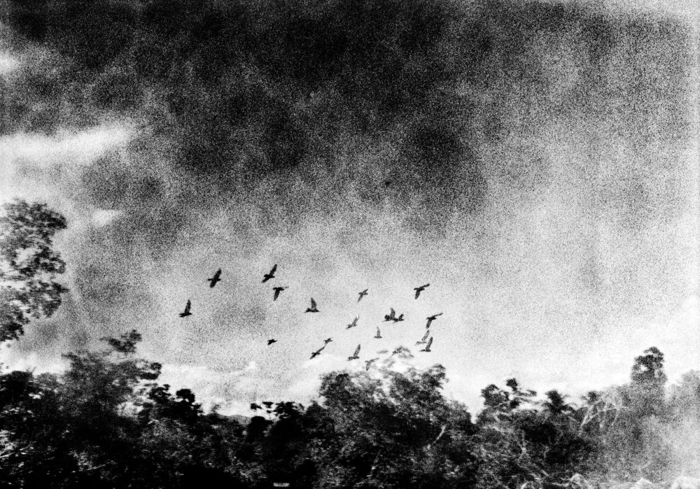 21334_SAZ_Bar_1018_014_sm