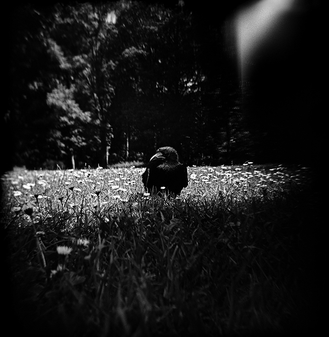 29.Le.Temsp.Des.Grenadines-Dan.Aucante