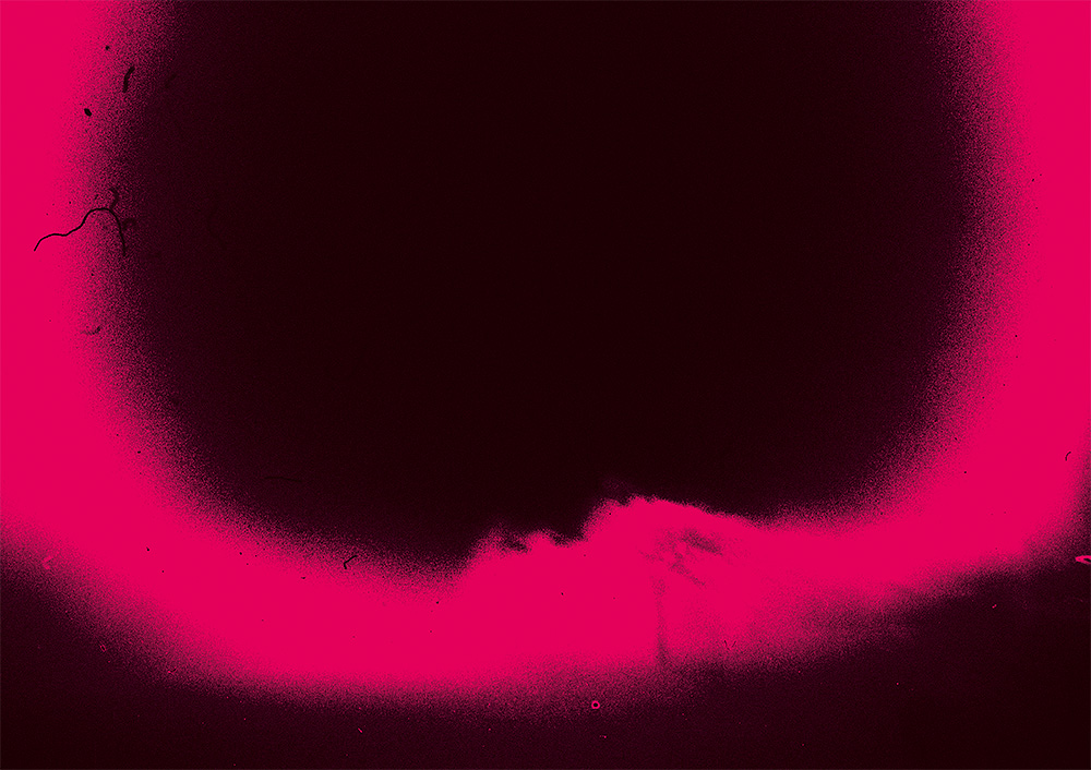 fuck-you_jean-marc-chapa_editions-le-mulet_05