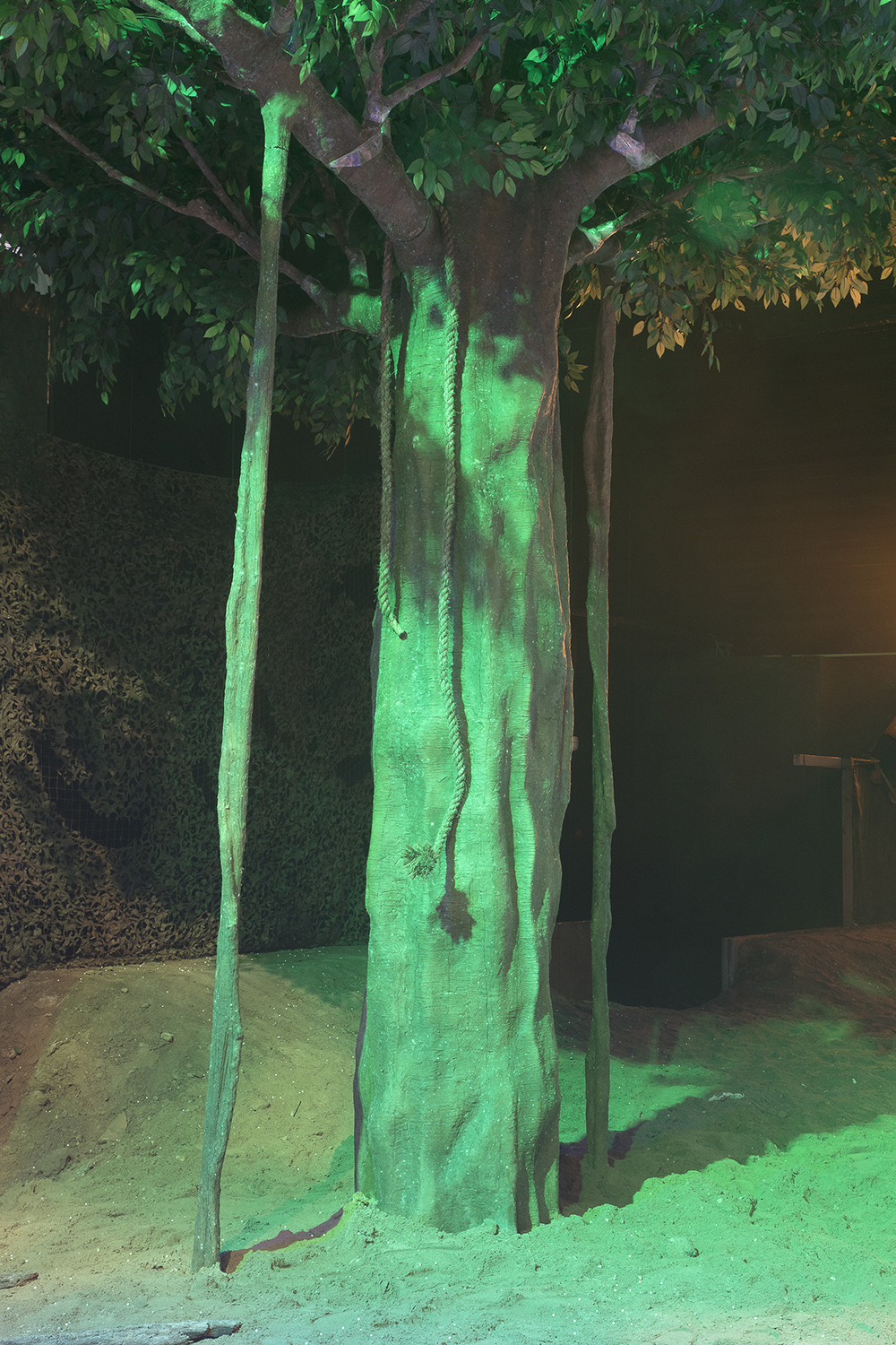 Total Blackout (jungle)