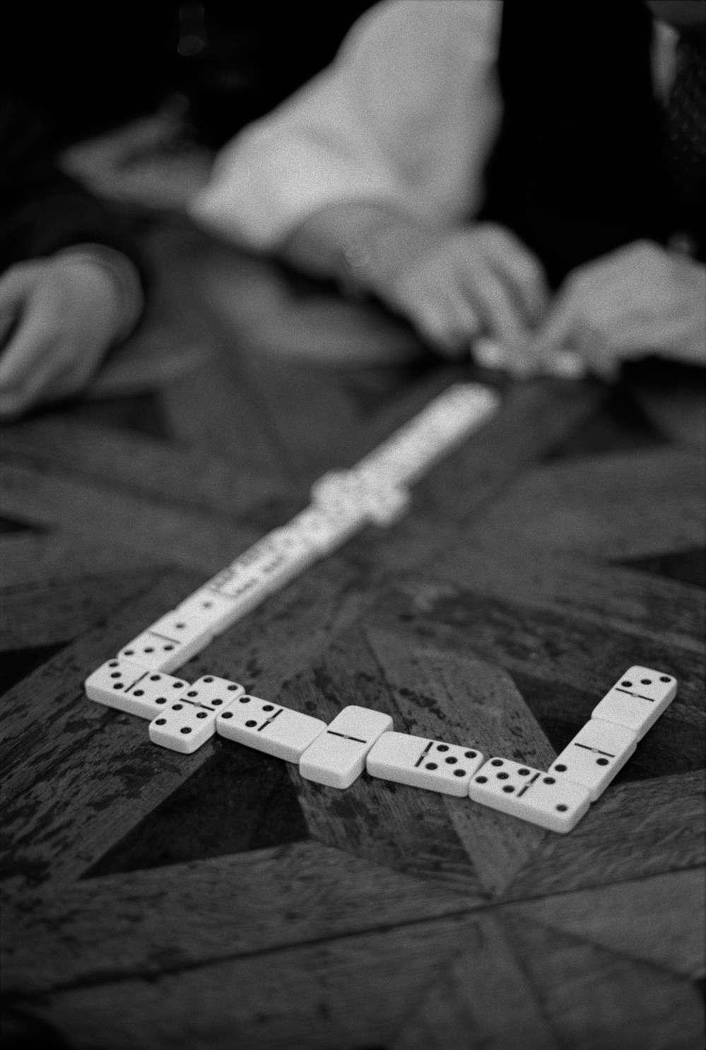 105-2010-Valpo-dominos-19