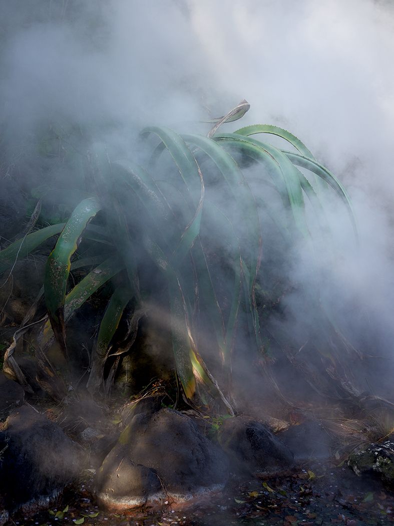 15ae040f-fd5a-487e-97ac-49f4b9e4a752