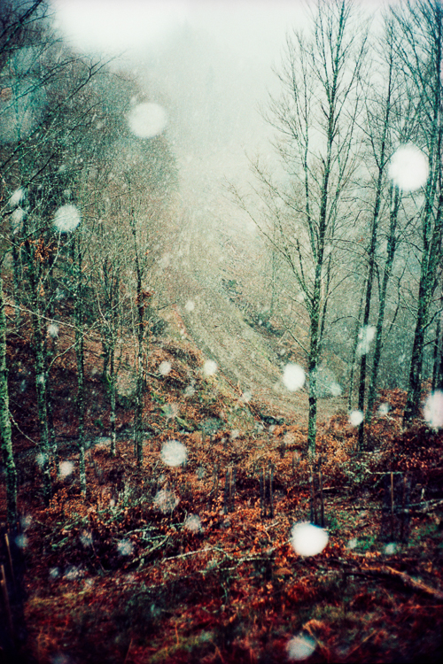 gael_bonnefon_elegy_for_the_mundane_009