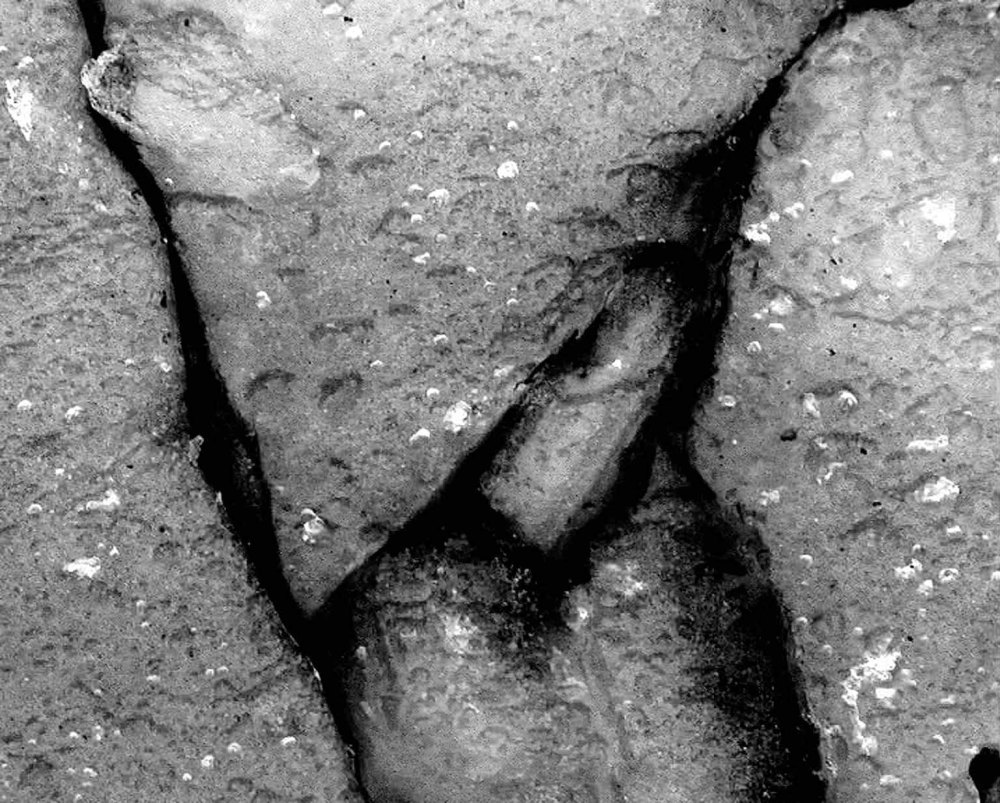 QRER Glace autre format