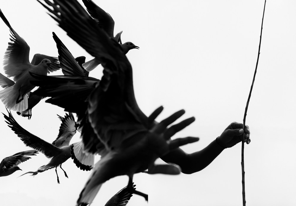 Aura_diptico 81, 2016